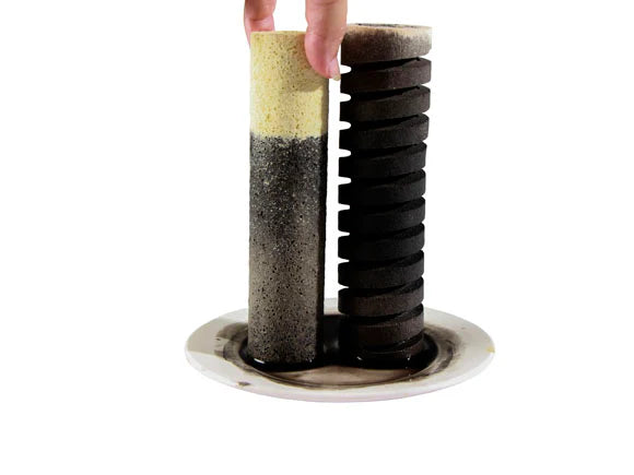 Mountain Tree Fresh Lotus Root Bacteria House