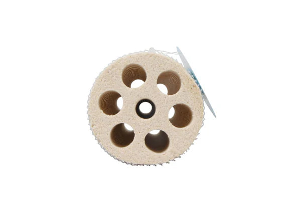 Mountain Tree Fresh Lotus Root Bacteria House