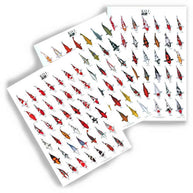 Small Koi Variety Poster Set of 3