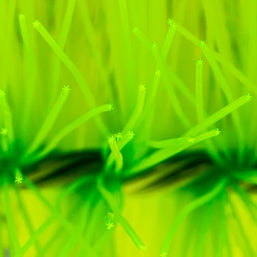 Mountain Tree Cross Filter Brush Grade: AA Dia12X50CM