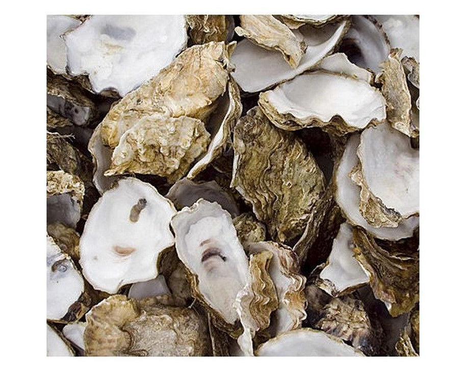 Oyster Shell in Tub 5kg