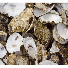 Oyster Shell in Tub 5kg